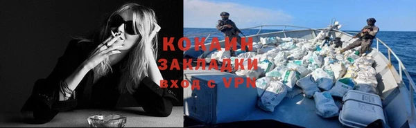 прущая мука Каменка