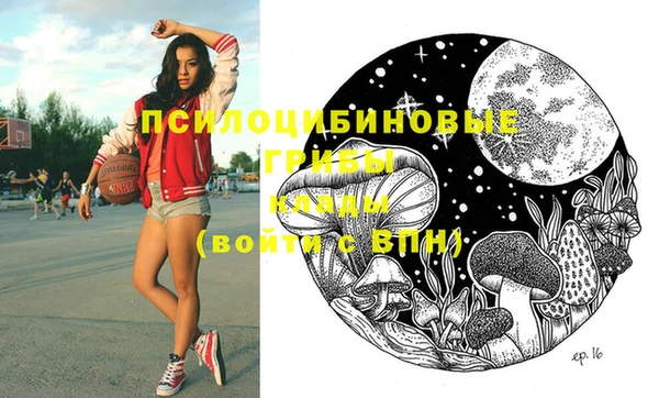 прущая мука Каменка