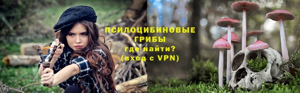 прущая мука Каменка